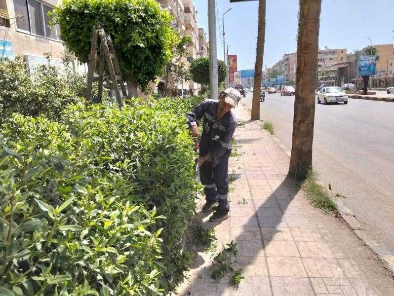 استعدادات مكثفة بمدينة كفر الشيخ لاستقبال عيد الأضحى المبارك.. صور