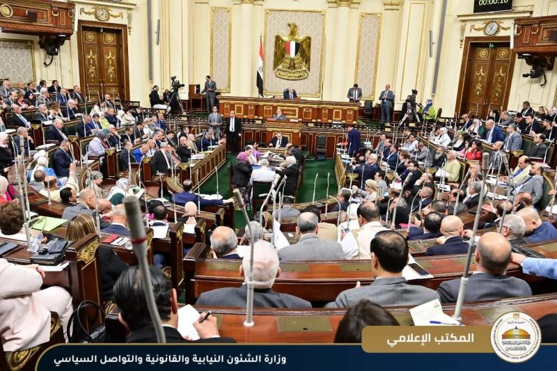 مشروعات النواب تطالب بمنح تمويل ميسر لأصحاب معاش تكافل وكرامة