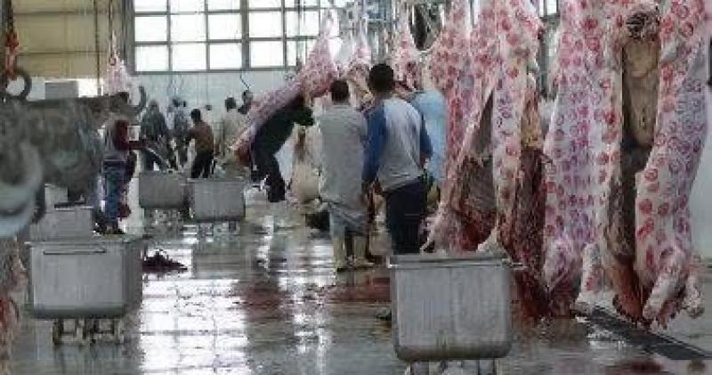 ”الخدمات البيطرية” رفع درجة الاستعداد بكافة المجازر استعدادًا لعيد الأضحى