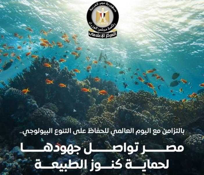 الحكومة تستعرض النجاحات المحققة في مجال التنوع البيولوجي.. انفوجراف