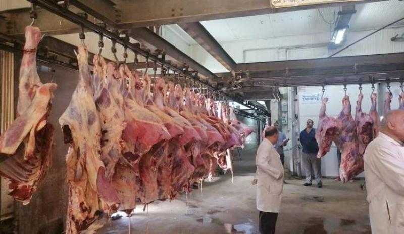 الوادي الجديد ترفع الطوارئ.. تجهيز 8 مجازر و5 نقاط ذبح لاستقبال عيد الأضحى