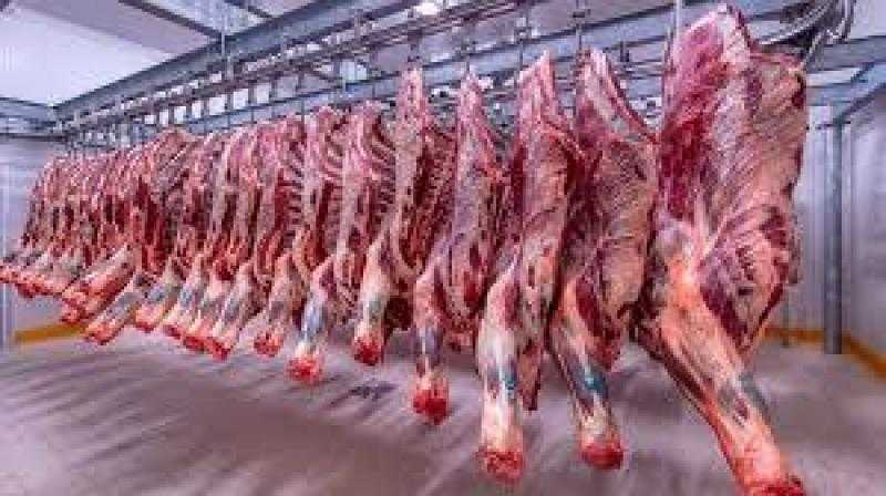 التموين توفر إمكانية شراء اللحوم بنقاط الخبز.. تفاصيل