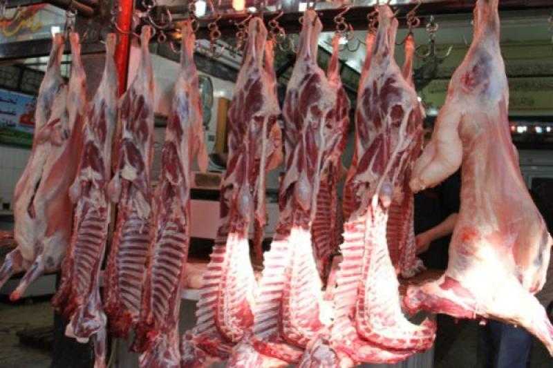 أمين الغرف التجارية: اللحوم المتوفرة في الأسواق 3 أضعاف الاستهلاك الطبيعي