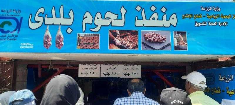 أسعارها تبدأ من 270 جنيهًا للكيلو.. إقبال كبير على منافذ الزراعة لشراء لحوم عيد الأضحى