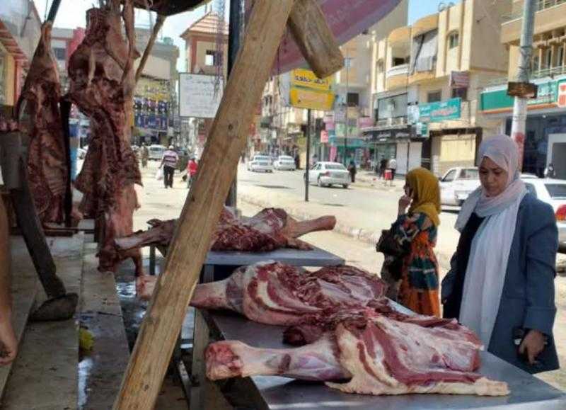 الطب البيطري بشمال سيناء: ذبح 16 أضحية في أول أيام العيد.. وإعدام حالات مصابة بالطفيليات والسل