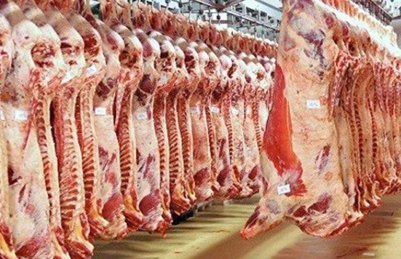 ”الزراعة”: المجازر الحكومية تستقبل 9898 أضحية خلال أول أيام عيد الأضحى