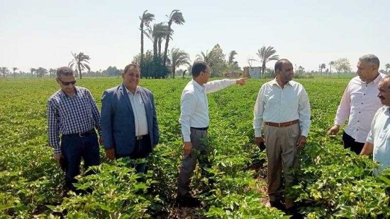 «الزراعة» تتفقد الزراعات وأعمال الجمعيات وأنشطة القطاع في الفيوم وبني سويف