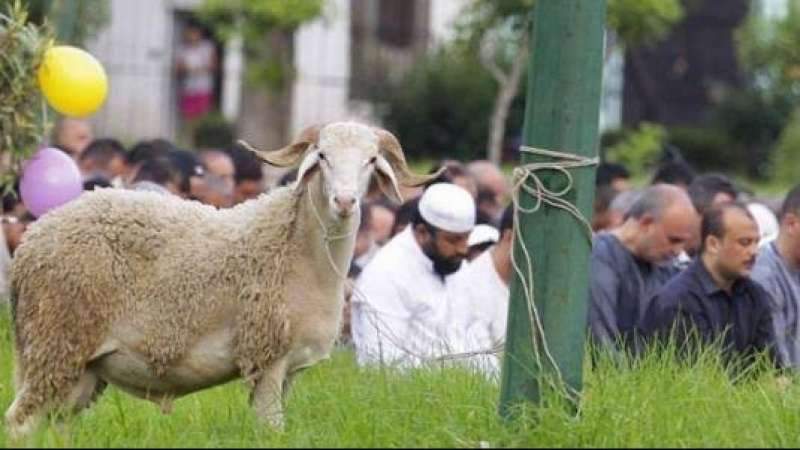 خط أحمر