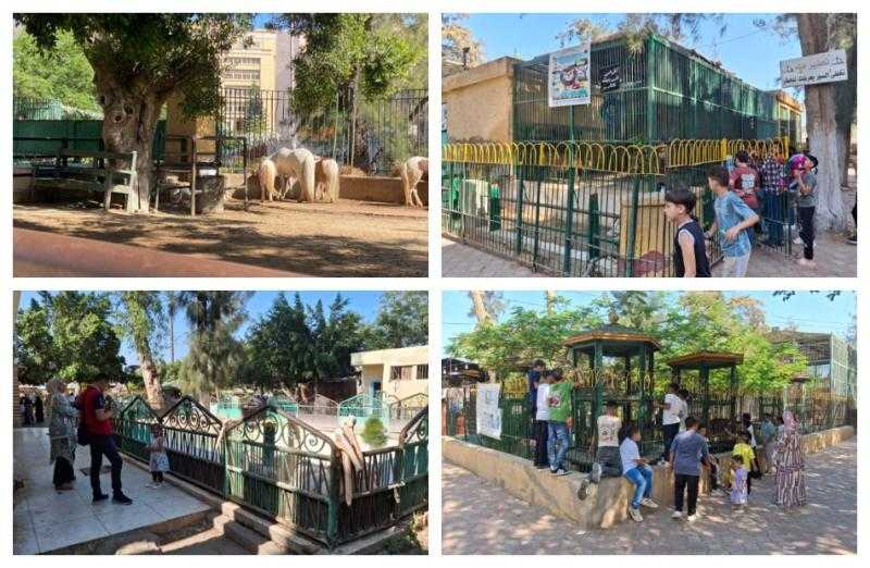 «الزراعة»: حدائق الحيوان الإقليمية والأسماك بالزمالك استقبلت 38 ألف زائر خلال أول يومين لعيد الأضحى