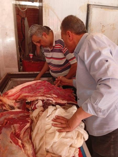 محافظ الدقهلية: ضبط 1670كيلو لحوم ودجاج مخالفة للمواصفات
