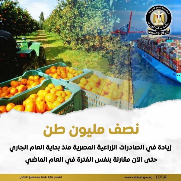 مصر صدرت 1.1 مليون طن بطاطس و106 آلاف طن بصل منذ بداية العام