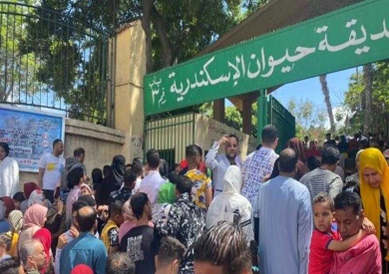 حديقة الحيوان بالإسكندرية: استقبلنا 53 ألف زائر خلال عيد الأضحى