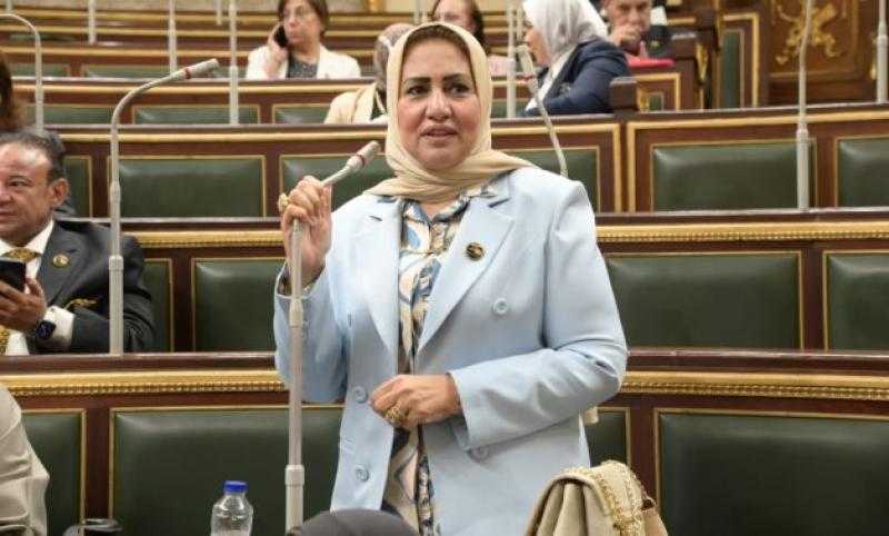 النائبة سحر صدقى: مصر تستعد للاستحقاقات النيابية وسط تحديات توترات إقليمية كبيرة