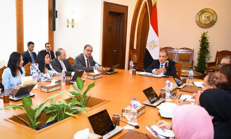 وزير الخارجية يتابع جهود الوزارة في رعاية المواطنين المصريين بالخارج