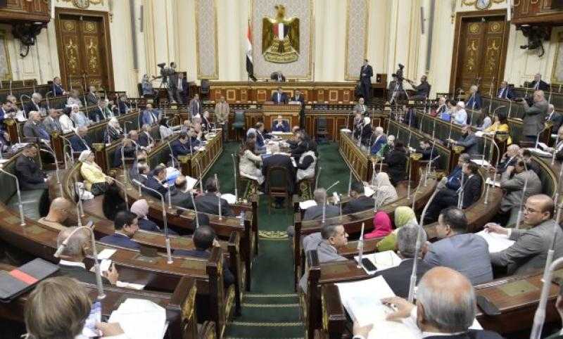 نائب: ثورة 30 يونيو أنقذت مصر من مخطط الإخوان لتفكيك الوطن