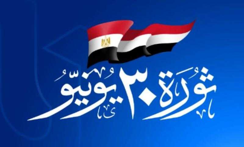 الحركة الوطنية: ثورة 30 يونيو جسدت وحدة الشعب المصري ومؤسسات الدولة ضد حكم الإخوان
