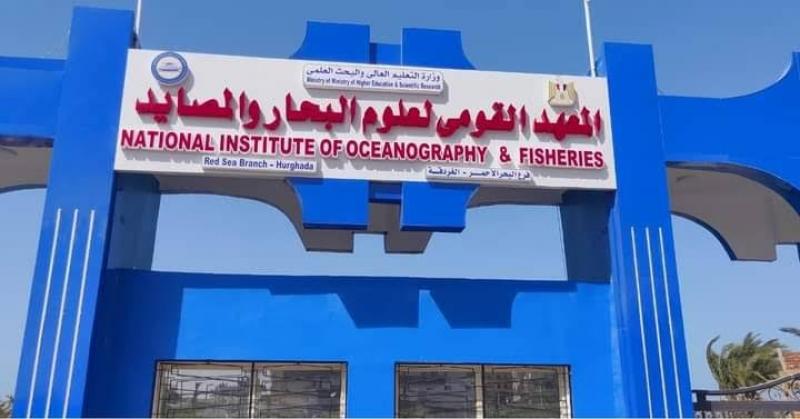 مصر تشارك في حوار إفريقيا لصياغة مستقبل الاقتصاد الأزرق على متن السفينة التراثية النرويجية ”ستاتسراد ليمكول”