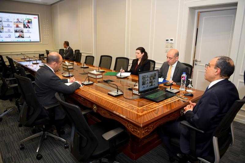 وزير الخارجية يشارك في اللقاء الافتراضي مع الجالية المصرية في بريطانيا