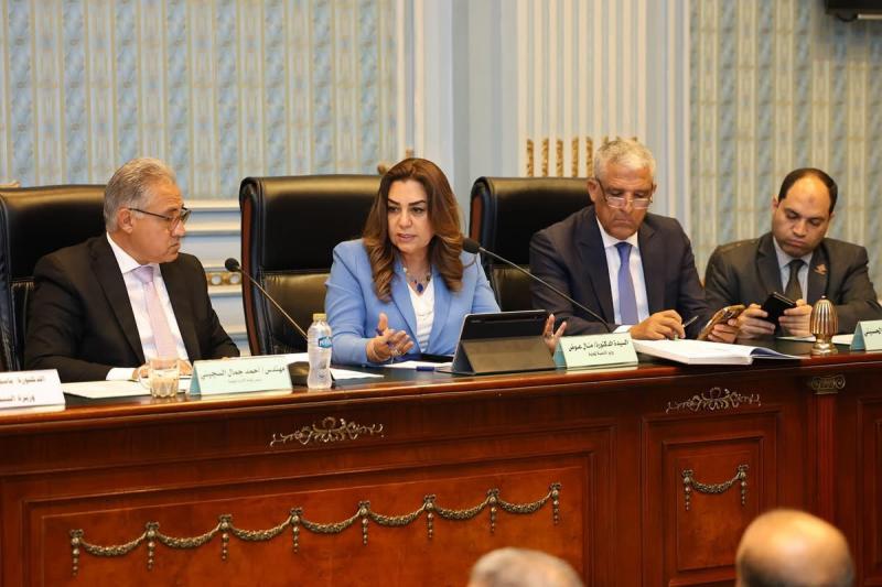 د. منال عوض: إنفاق حوالى 4.8 مليار جنيه على مشروعات البنية التحتية بالمحافظات