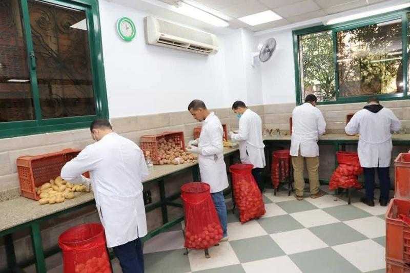 الزراعة: فحص أكثر من 1.3 مليون طن بطاطس معدة للتصدير إلى الخارج منذ بداية الموسم