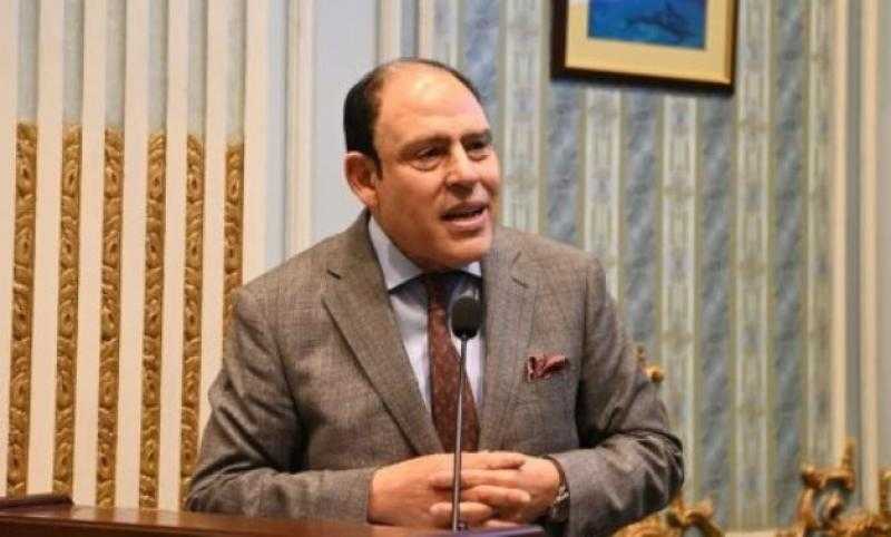 رياض عبد الستار: ثورة 30 يونيو كانت انتصارًا للهوية الوطنية وسدًا منيعًا أمام الفوضى