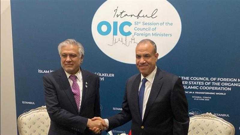 وزير الخارجية يؤكد لنظيره الباكستاني ضرورة وقف التصعيد العسكري في المنطقة