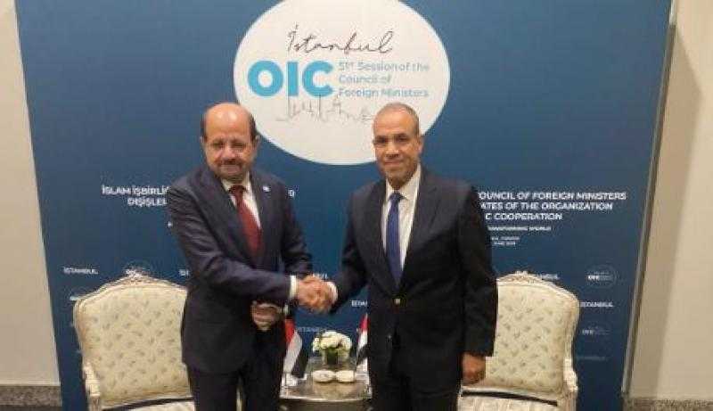 وزير الخارجية يؤكد دعم مصر الراسخ للحكومة اليمنية الشرعية