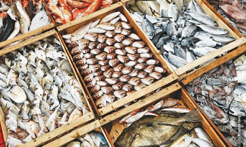 أسعار السمك والجمبري بالأسواق اليوم الإثنين 23 يونيو