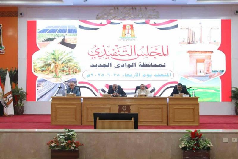 محافظ الوادي الجديد يعلن تطبيق خطة ترشيد استهلاك الكهرباء بالجهات الحكومية