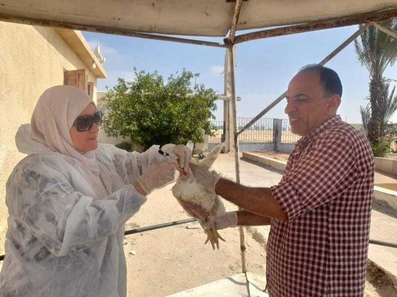 تنفيذ قافلة بيطرية مجانية بعزبة نظيف في طنطا