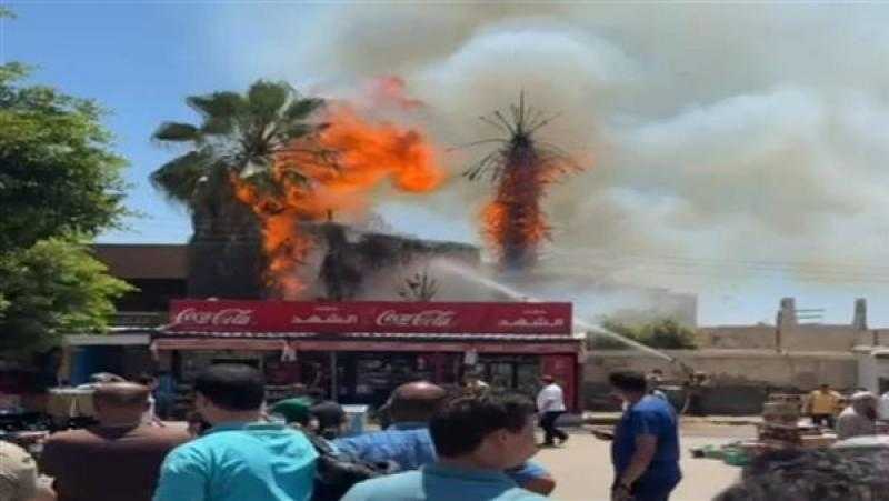 السيطرة على حريق بمجموعة أشجار بأرض المحلج في الغربية