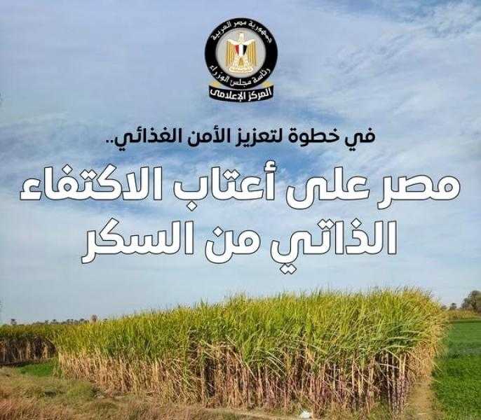 إعلامي الوزراء: مصر على أعتاب الاكتفاء الذاتي من السكر.. والأرصدة تكفي 13 شهرًا