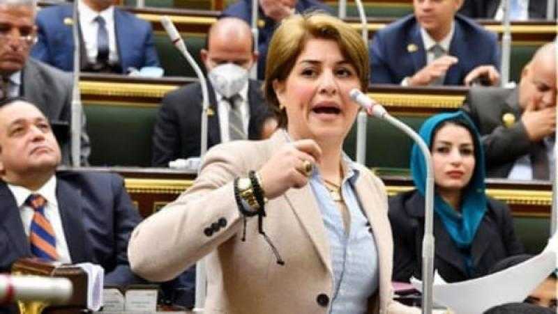 عضو بـ لجنة الدفاع والأمن القومي: 3 يوليو لحظة فارقة ونقطة انطلاق جديدة لمصر