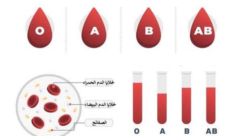 خبير تغذية: فصيلة الدم تحدد نوعية الغذاء الأنسب للجسم