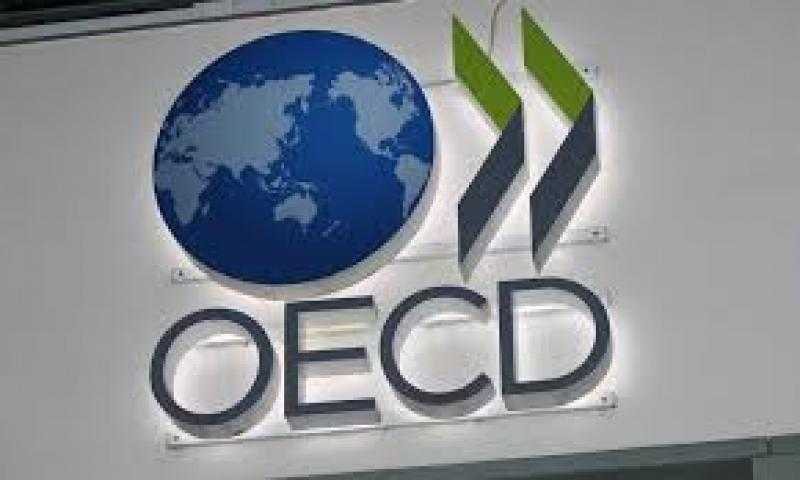 منظمة التعاون والتنمية تُطلق تقريرها عن سياسات المشروعات الصغيرة وزيادة الأعمال بمصر