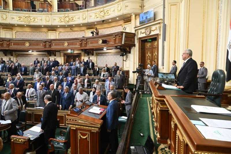 «النواب» يوافق مبدئيًا على تعديل قانون تنظيم شئون أعضاء المهن الطبية