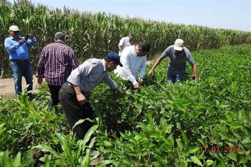 زراعة المنيا تدرس مع الجانب الألماني تعزيز قدرات صغار المزارعين