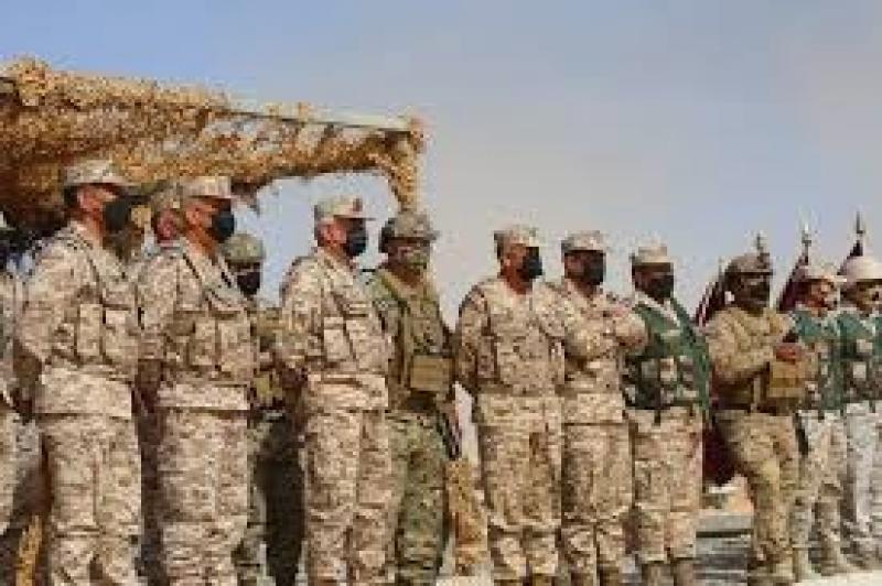 الجيش الأردنى يحبط محاولة تهريب مواد مخدرة بواسطة طائرة مسيرة
