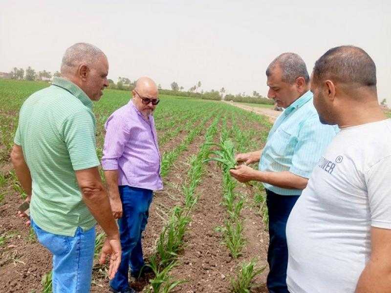 محافظ أسيوط يوجه بدعم القطاع الزارعي والمتابعة الميدانية للاطمئنان على المحاصيل
