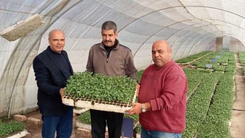 الزراعة: تصدير 1.2 مليون شتلة فراولة و343 ألفا فاكهة