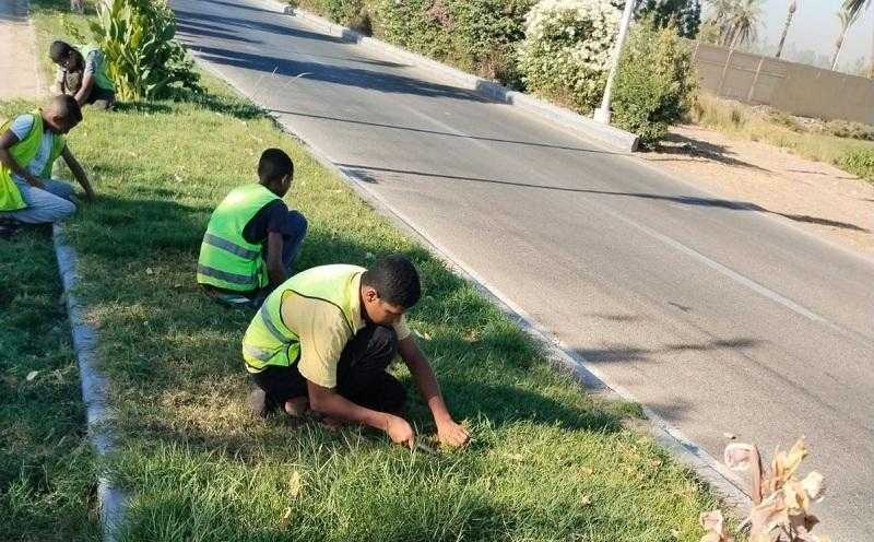 حملات مكبرة لتجميل طريق مطار الأقصر