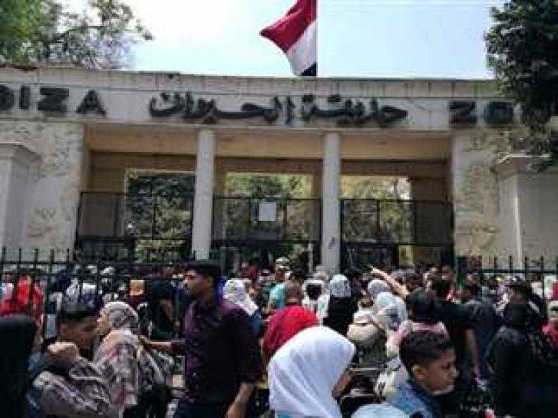 بعد التطوير.. متحدث الزراعة يكشف مفاجأة بشأن افتتاح حديقة الحيوان