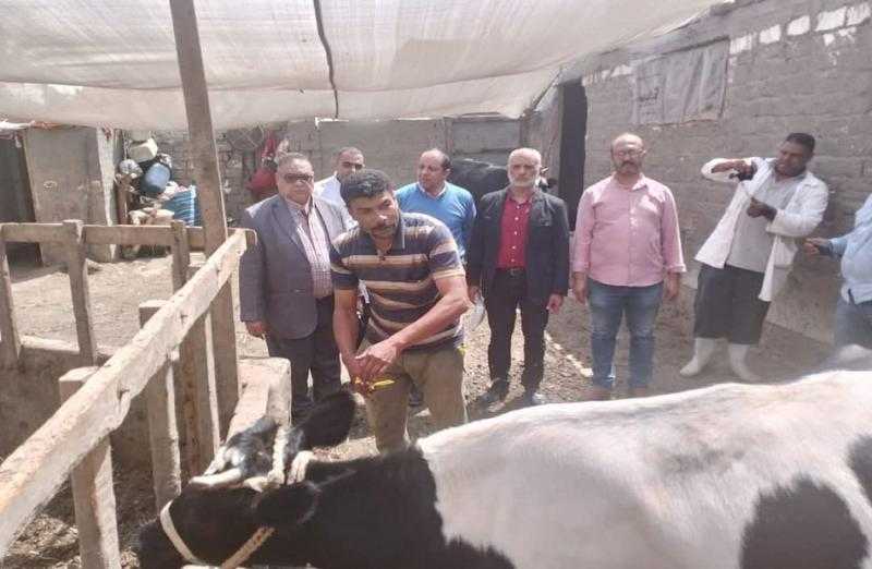 الغربية تطلق الحملة القومية الثانية لتحصين الماشية ضد الأمراض الوبائية