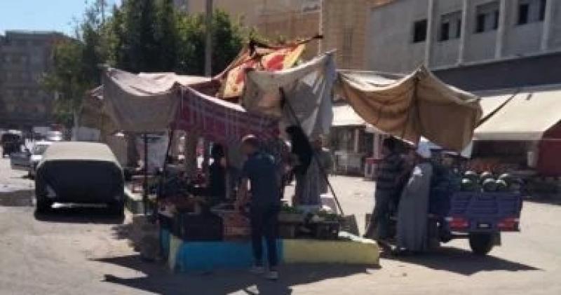 رفع الإشغالات وإزالة التعديات على حرم الطريق فى القنطرة غرب بالإسماعيلية