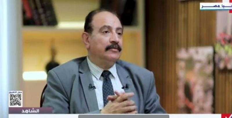 طارق فهمي: الدبلوماسية المصرية تلعب دورا هاما في الانفتاح على الدول الأفريقية