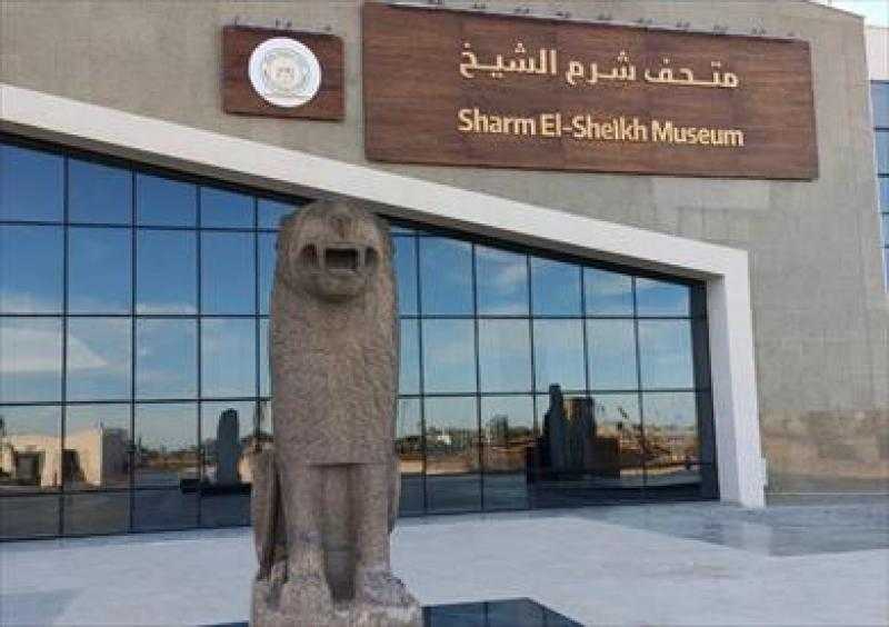 متحف شرم الشيخ يواصل تنفيذ مشروع المقبرة الحية