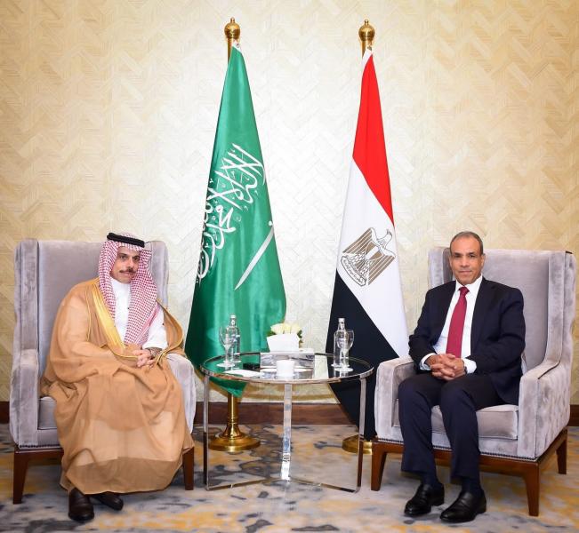 وزير الخارجية والهجرة يستقبل نظيره السعودي بمدينة العلمين