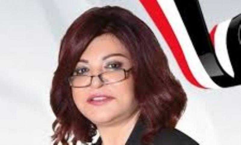 النائبة آمال عبد الحميد اعتماد 2.5 مليون جنيه لرفع كفاءة الإنارة بقرى كفر الزيات وبسيون