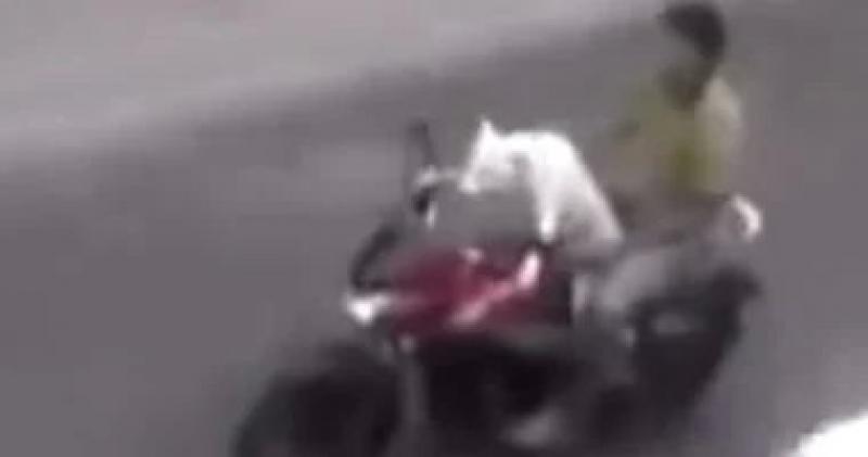 ضبط قائد دراجة نارية استعرض بالطريق العام بالبحيرة