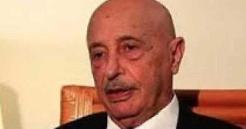 برلمان ليبيا: نرفض تهجير الفلسطينيين ونحذر من الزج باسم بلادنا بمخططات الاحتلال